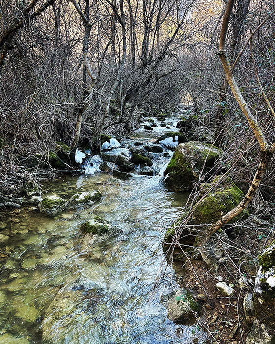 Río Dulce en Guadalajara 