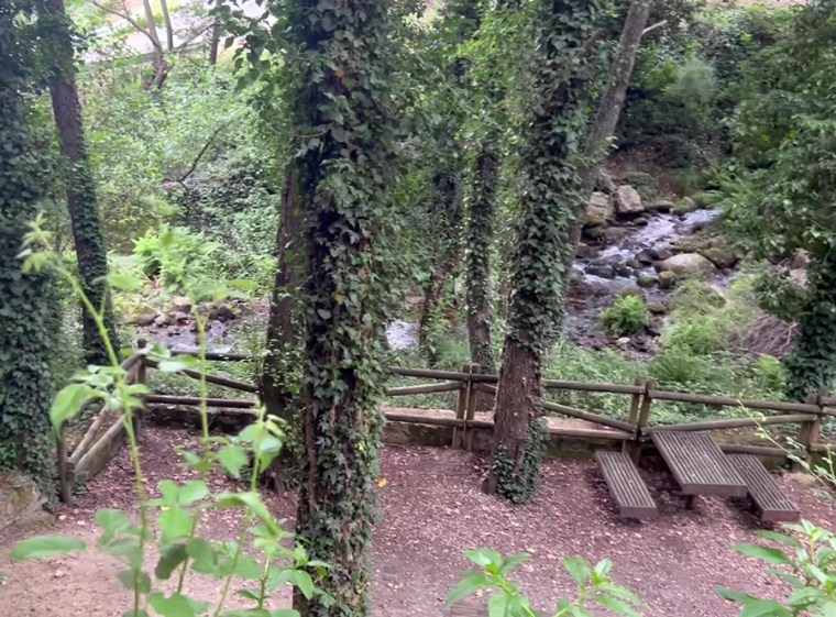 Garganta de La Puria en Valle del Jerte