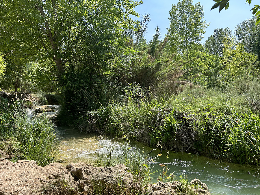 Río Pinilla Lagunas de Ruidera