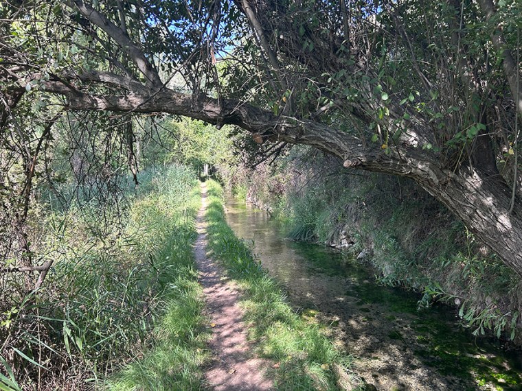 Sendero botánico El Cuervo Teruel