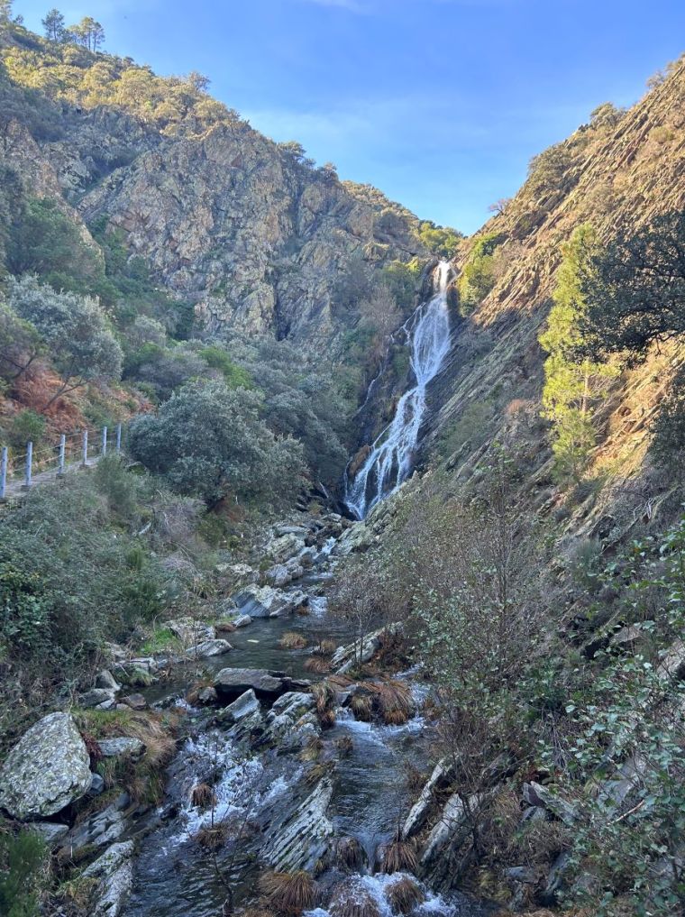 Chorritero Ovejuela (Las Hurdes)