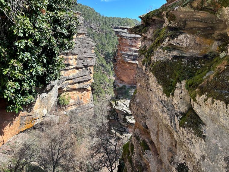 Barranco de la Hoz Mirador Parque Natural Alto Tajo