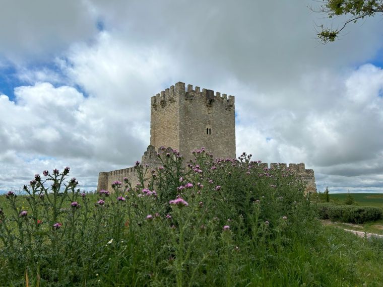 Castillo de Tiedra