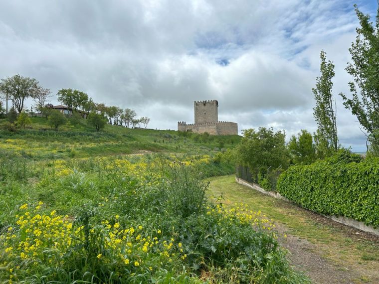 Tiedra y su castillo
