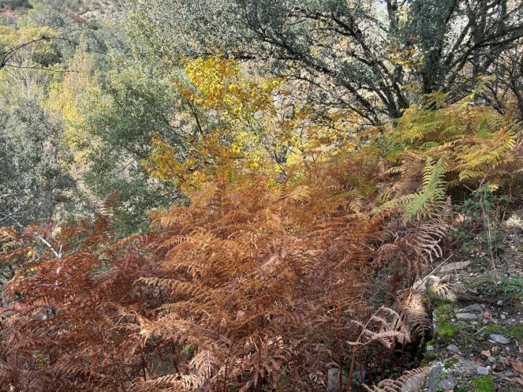 El Chorro de Valdesotos