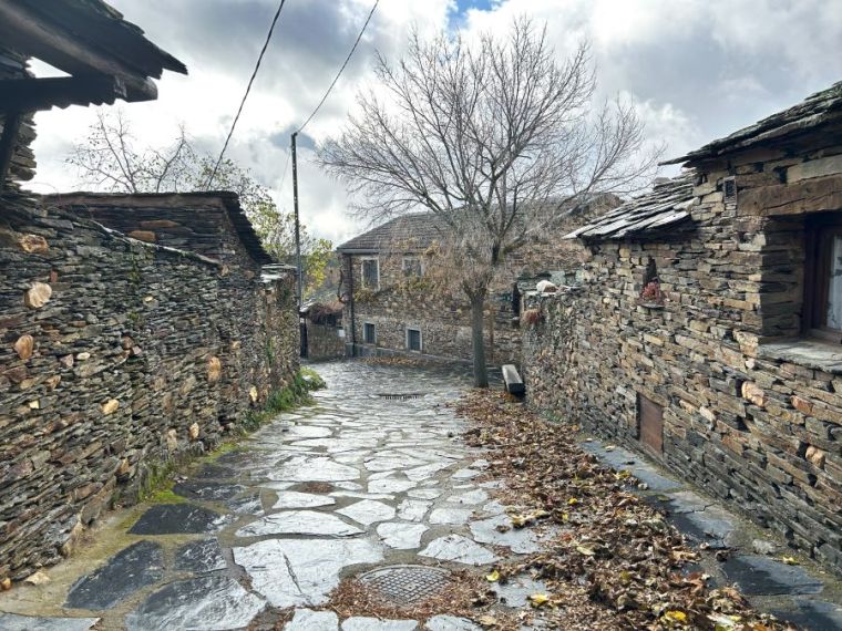 Roblelacasa Guadalajara