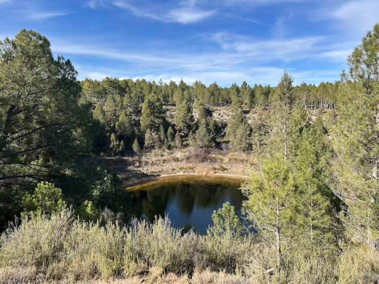 Lagunillo de El Tejo en Lagunas de Cañada del Hoyo