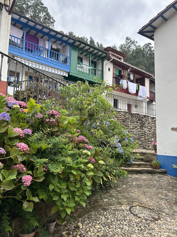 tazones costa asturiana