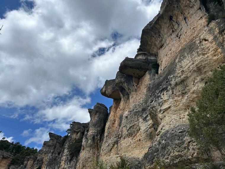 Detalle de la Serranía de Cuenca