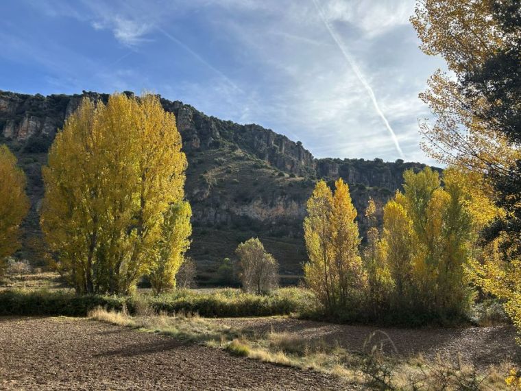 Parque Natural Barranco del río Dulce
