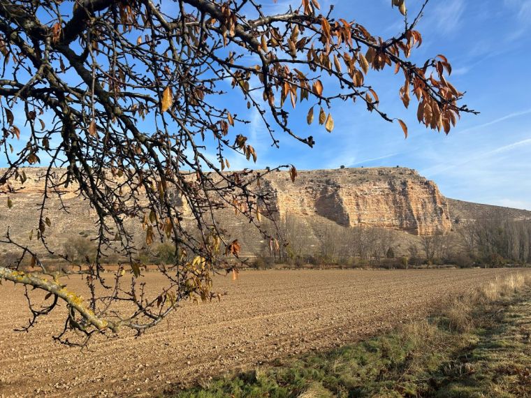 Río Riaza Senda del río